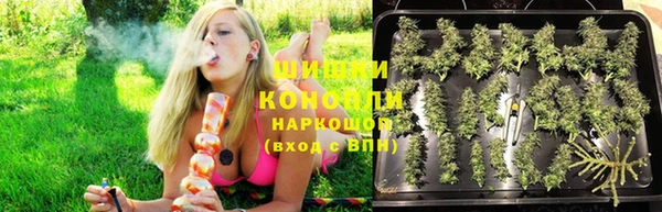 ПСИЛОЦИБИНОВЫЕ ГРИБЫ Баксан